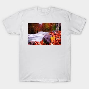 Autumn Flow T-Shirt